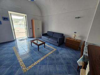 Maridea - Argonauta - Ponza - 2