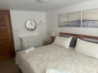 Kite Beach Oceanfront 1st Row Two Bedrooms and patio - Cabarete - 7