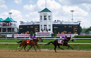 The Bluegrass Grand Estate: Bourbon Trail Luxury - Bardstown - 2