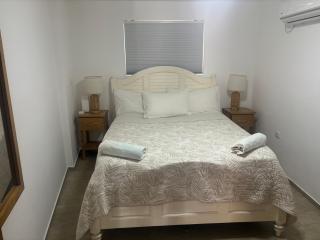 Kite Beach Oceanfront 1st Row Two Bedrooms and patio - Cabarete - 8