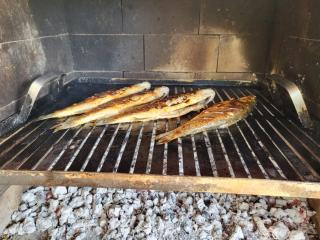Olive and Herb Retreat II - Valtura - 1