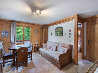 Charmant 2 pièces avec piscine, spa et accès direct pistes à Méribel Village - FR-1-566-60 - Les Allues - 0