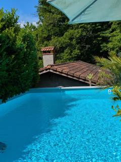 Giardino Segreto - Hidden gem - Orselina - 4