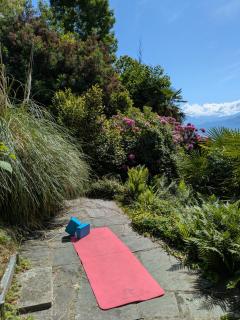 Giardino Segreto - Hidden gem - Orselina - 1