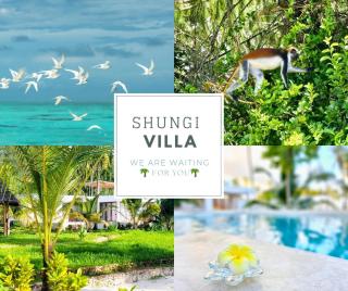 Shungi Villa Zanzibar - Tongoni - 7
