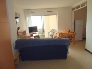Appartement avec balcon, parking, clim et animaux admis proche des Thermes - FR-1-503-18 - Balaruc-les-Bains - 0
