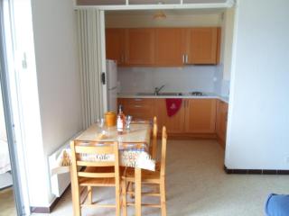 Appartement avec balcon, parking, clim et animaux admis proche des Thermes - FR-1-503-18 - Balaruc-les-Bains - 1