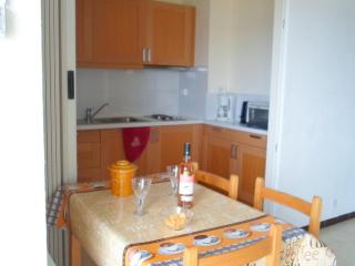 Appartement avec balcon, parking, clim et animaux admis proche des Thermes - FR-1-503-18 - 2