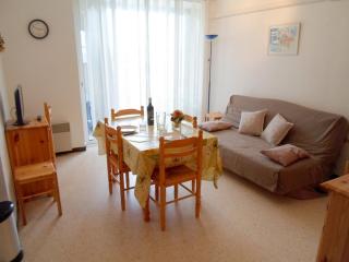 Appartement avec balcon fermé, climatisé et animaux admis à Balaruc-les-Bains - FR-1-503-27 - 0