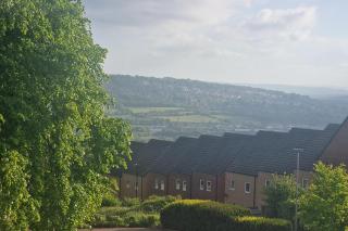 Urban Retreat in Newcastle- Pet friendly- Garden - 6