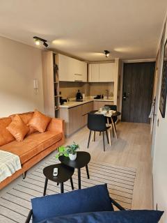 HOM I Excepcional Dpto 1D1B 2PAX Santiago Centro - Santiago - 9