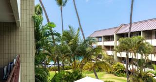 Oceanfront Condo 117 in Kailua-Kona - Kailua-Kona - 7