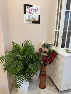 James Apartment - Saranda - 9