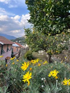 Piera's House - Castellaro - 0