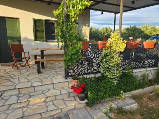Green house - Dograde - 1