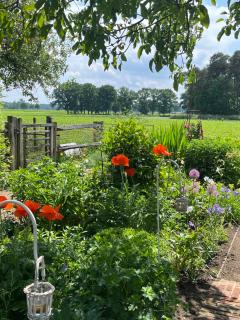 LOGIES Tuin der Zinnen - 1
