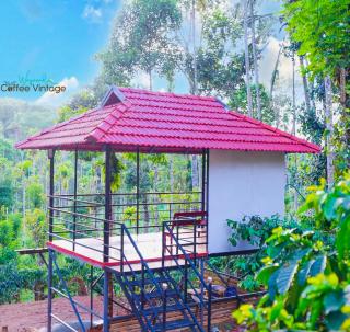 Wayanad Coffee Vintage - Wayanad - 4