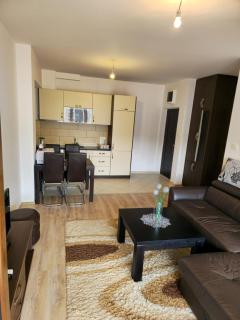 Omega 2 Apartment Budva - 7
