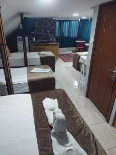 Galaxy Hotel Sultanahmet - Estambul - 1