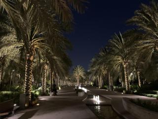 Big studio - Abu Dhabi - 3