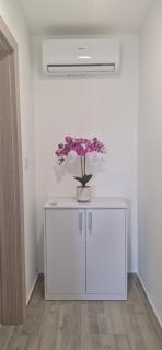 Apartmani Lucija 2 - Zubovići - 5
