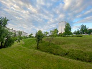 Studio Apartment in Pristina - 1