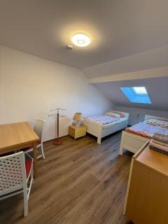 City Apartment in Nürnberg - 4