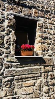 En Suite Sutri - Sutri - 3