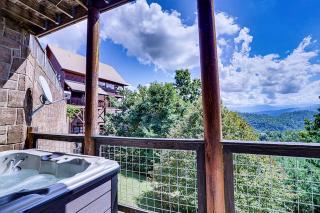 Bluebirds Over the Smokies by Venture Smoky Mountains - Sevierville - 8