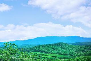 Country Bear Cottage by Venture Smoky Mountains - 7