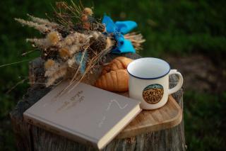 Cozy house on Sioni lake - 2