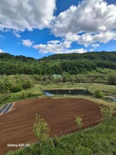 Rural Household Baltic - 1