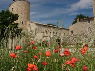 Château de la Gabelle Férrassières - Ferrassières - 6