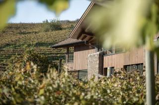 Untermoserhof - Weingut & Apartments - Cardano - 2