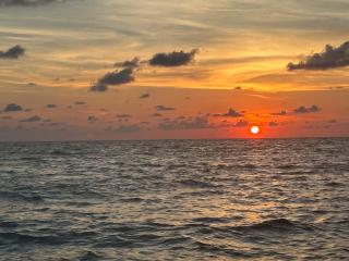 Magic Secluded Suite-Pool-Sauna plus Lake View Venice Florida - Venice - 1