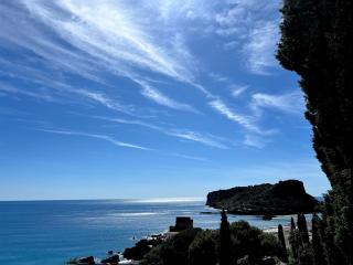 Villa Nappi Bed & Breakfast - Praia a Mare - 3