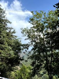 Slow Living Villa - Mukteshwar - THHPSOCIETY - 7