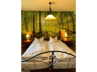 Holiday home with 3 bedrooms - Sankt Andreasberg - 9