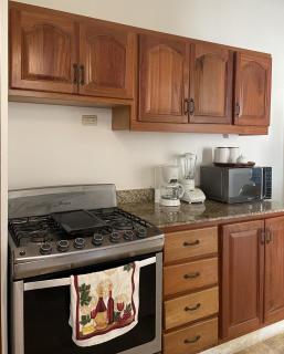 New! Chic Beach Condo at Punta Cana - Punta Cana - 9
