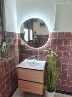 gite spacieux, calme avec terrasse - Wettolsheim - 5