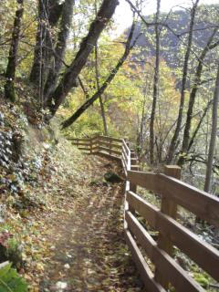 Petit appartement plein pied 2 pers AVEC TERRAIN proche Aurillac - Ytrac - 6