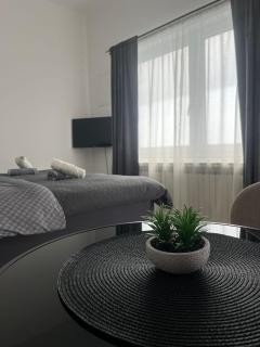 ROCK Studio Apartman - 0