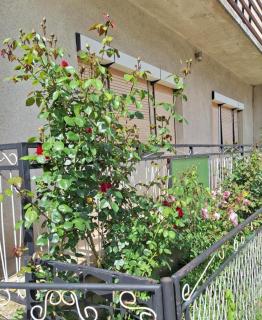 Relax Rose Apartment - 6