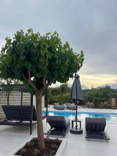 Amare suite 2 - Perivólia - 8