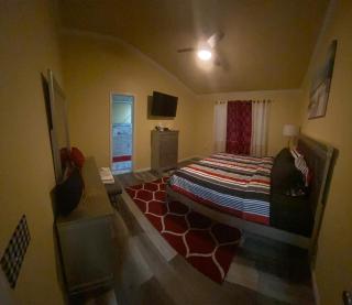Charming 3 Bed 2 Bath home in NE San Antonio - San Antonio - 4