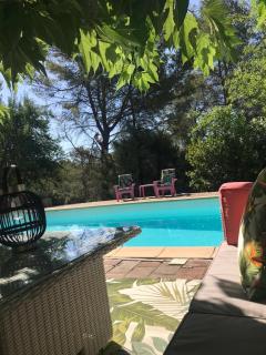 Le jardin secret de Laura - Lorgues - 8
