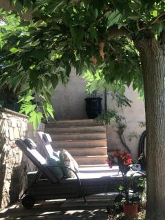 Le jardin secret de Laura - Lorgues - 7