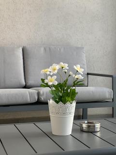 The Olive Spot - Cristian - 4