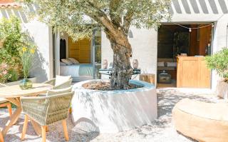 L'hôtel des oiseaux - Les Baux-de-Provence - 6
