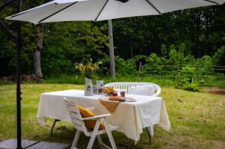 La perla nella foresta - 0